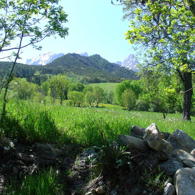 Gîte, location de vacances à Barcelonnette